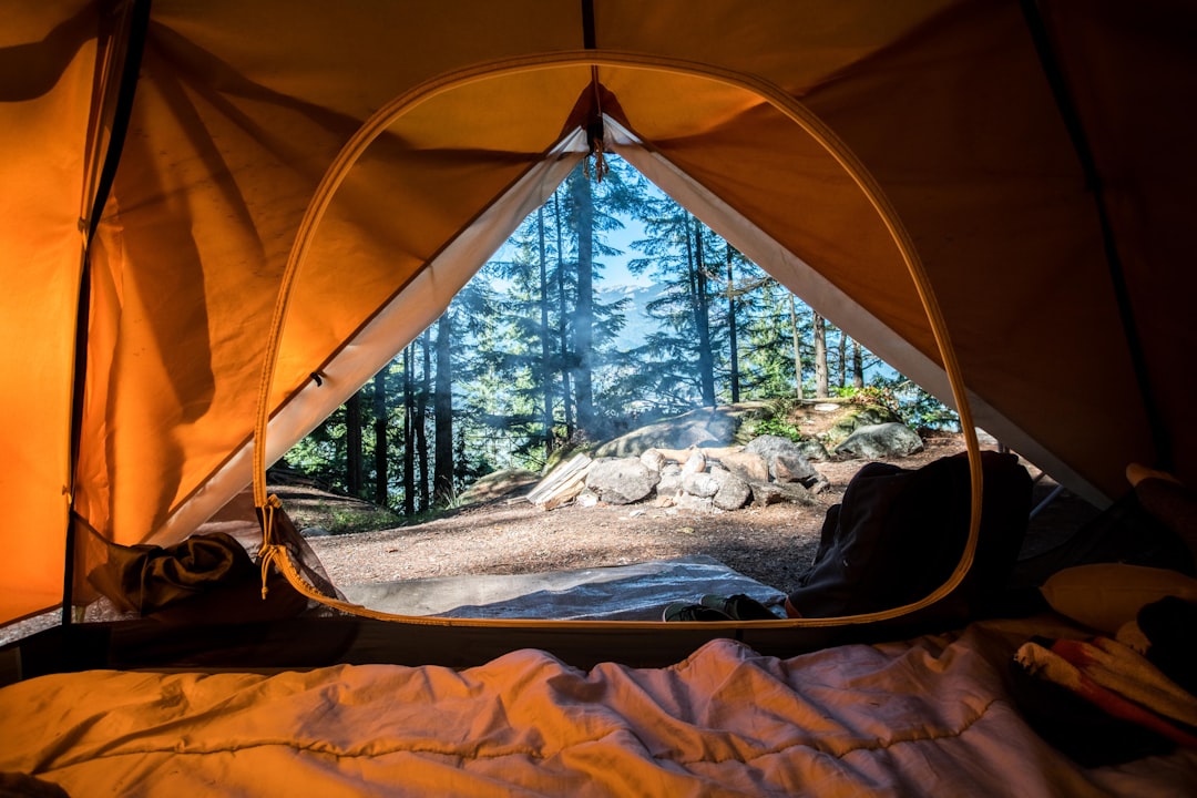 En Fantastisk Oplevelse på Ribe Camping: Din Ideelle Campingplads