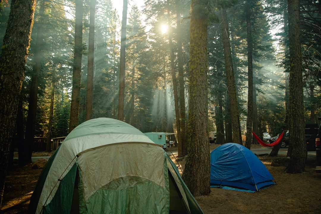 Oplev Den Perfekte Campingplads i Hjertet af Nationalpark Vadehavet