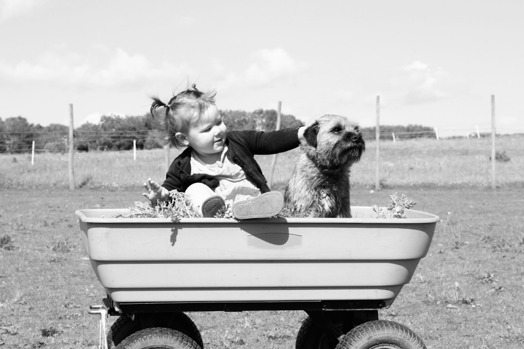 Den Ultimative Guide til Hundedagpleje i København og Nordsjælland